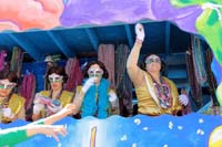 Krewe-of-Iris-2017-08283