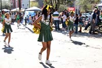 Krewe-of-Iris-2017-08370