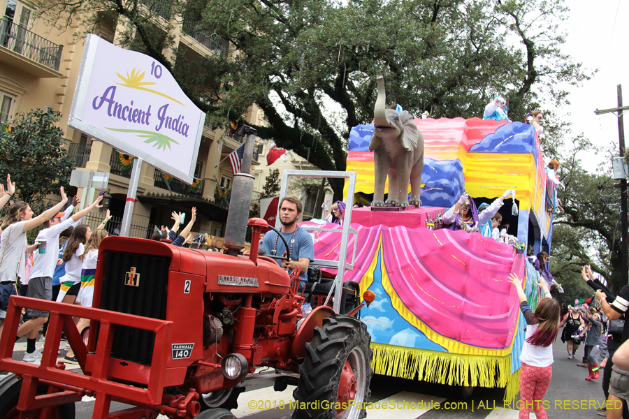 2018-Krewe-of-Iris-00005497