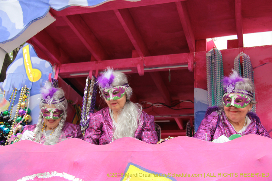 2018-Krewe-of-Iris-00005513