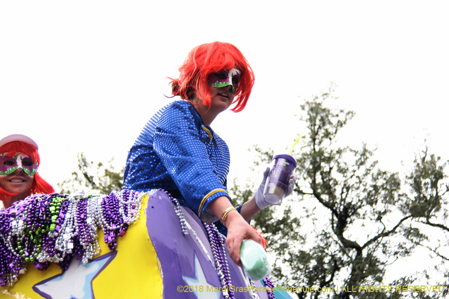 2018-Krewe-of-Iris-00005527