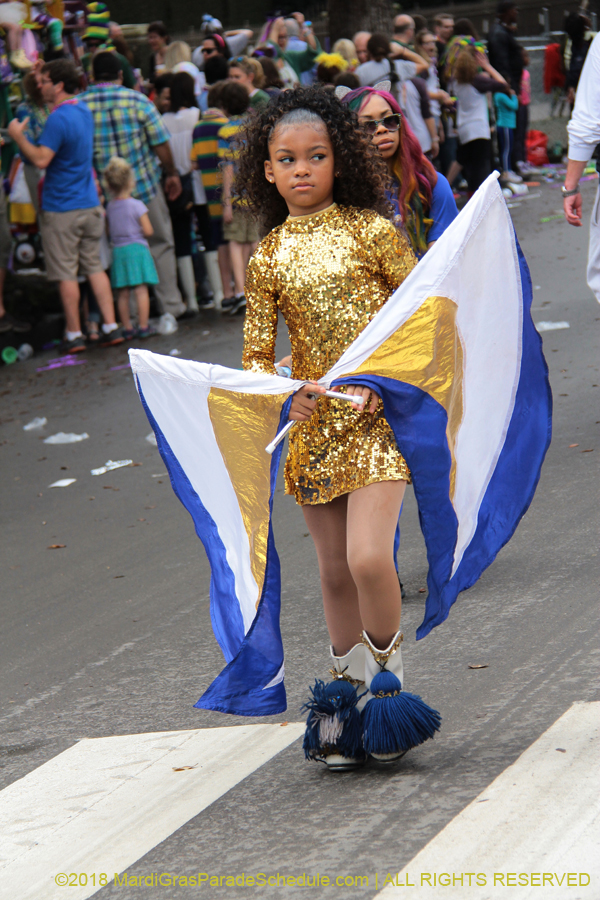 2018-Krewe-of-Iris-00005534