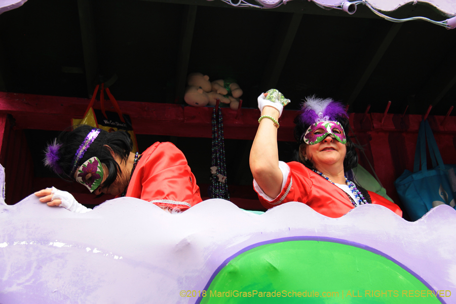 2018-Krewe-of-Iris-00005537