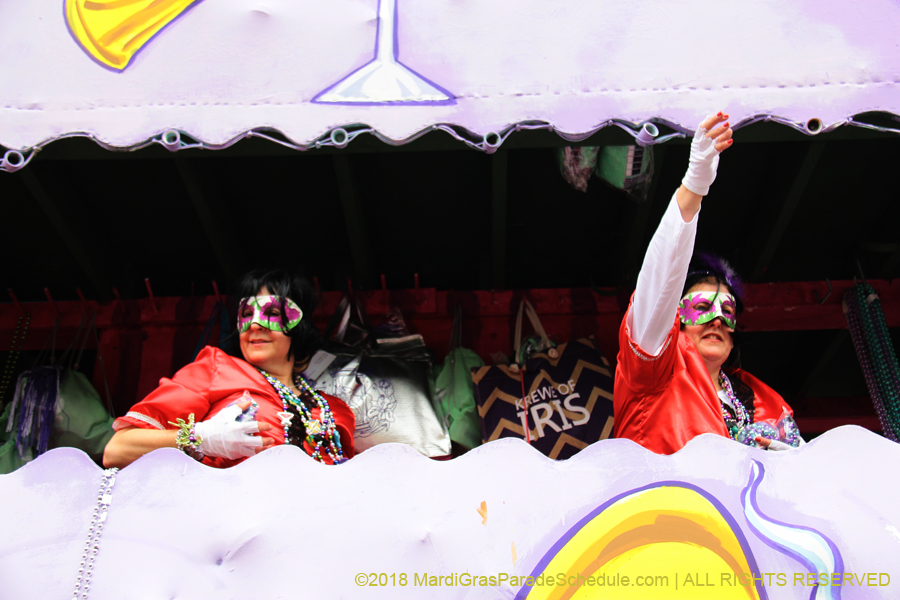 2018-Krewe-of-Iris-00005538