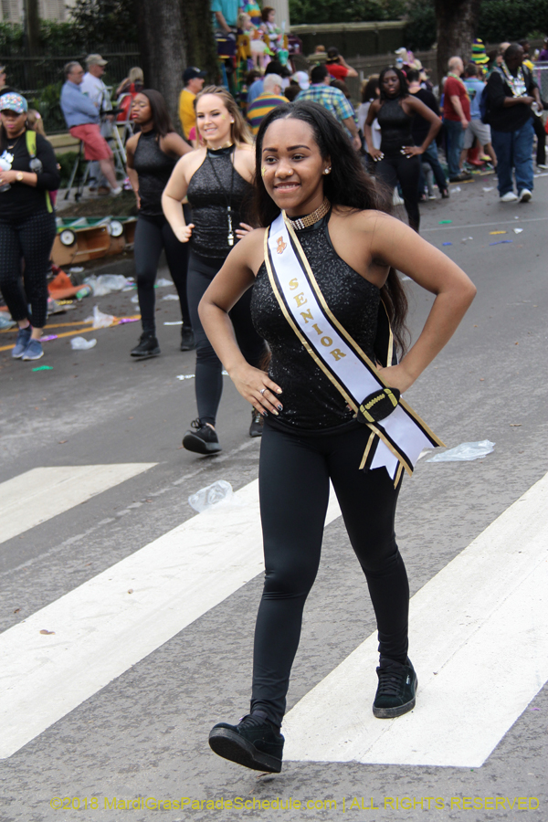 2018-Krewe-of-Iris-00005559