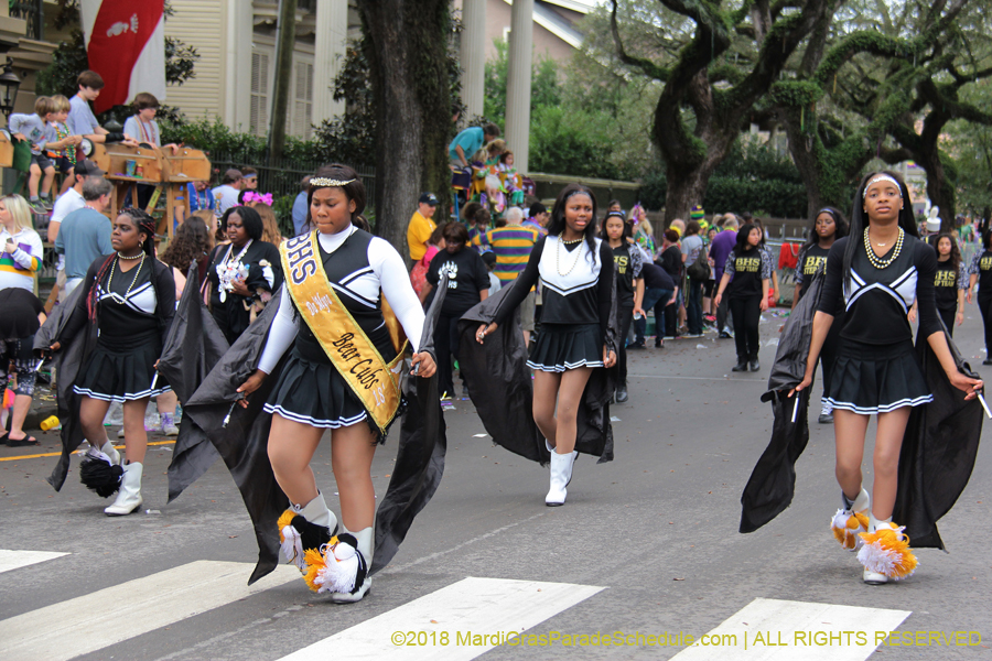 2018-Krewe-of-Iris-00005561