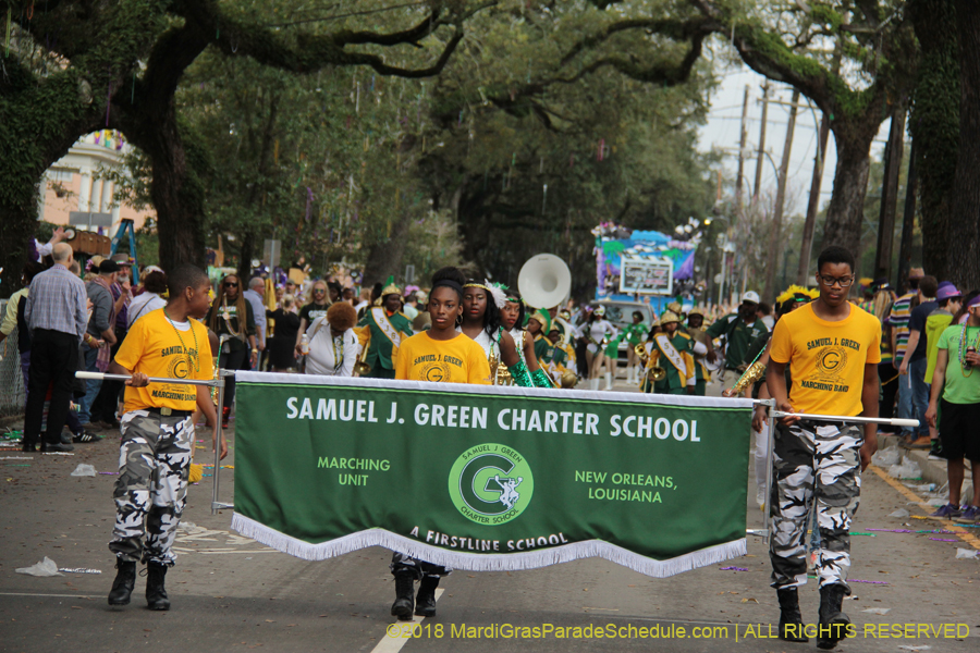 2018-Krewe-of-Iris-00005597