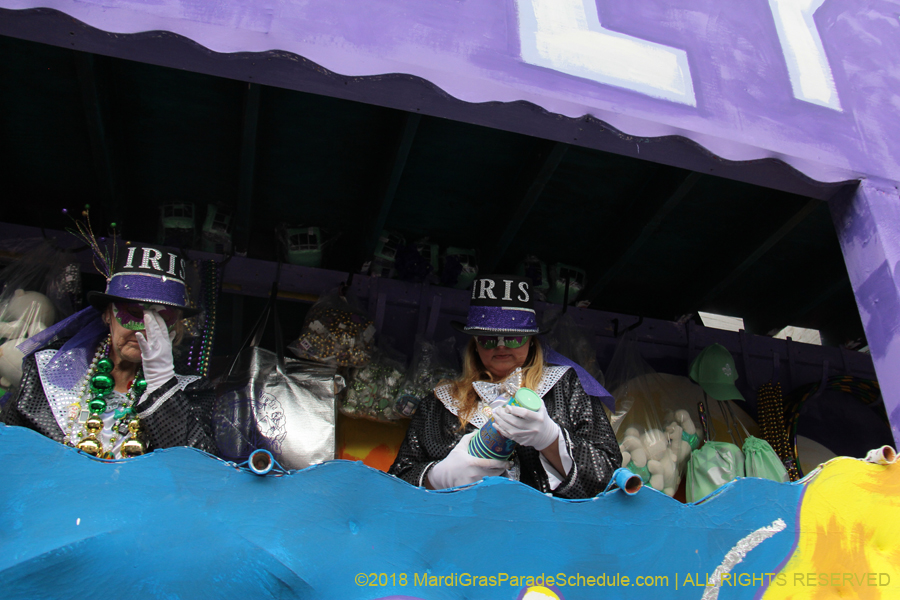 2018-Krewe-of-Iris-00005602