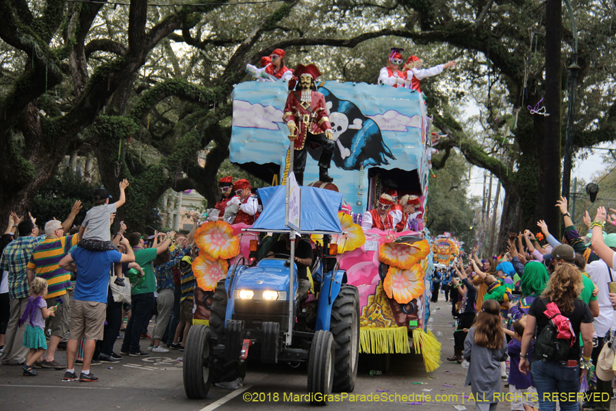 2018-Krewe-of-Iris-00005625