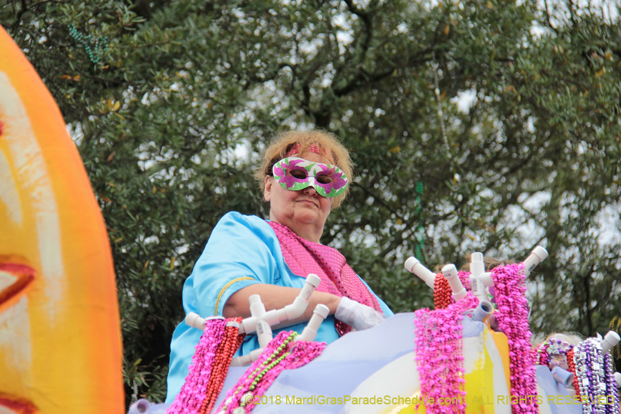 2018-Krewe-of-Iris-00005641