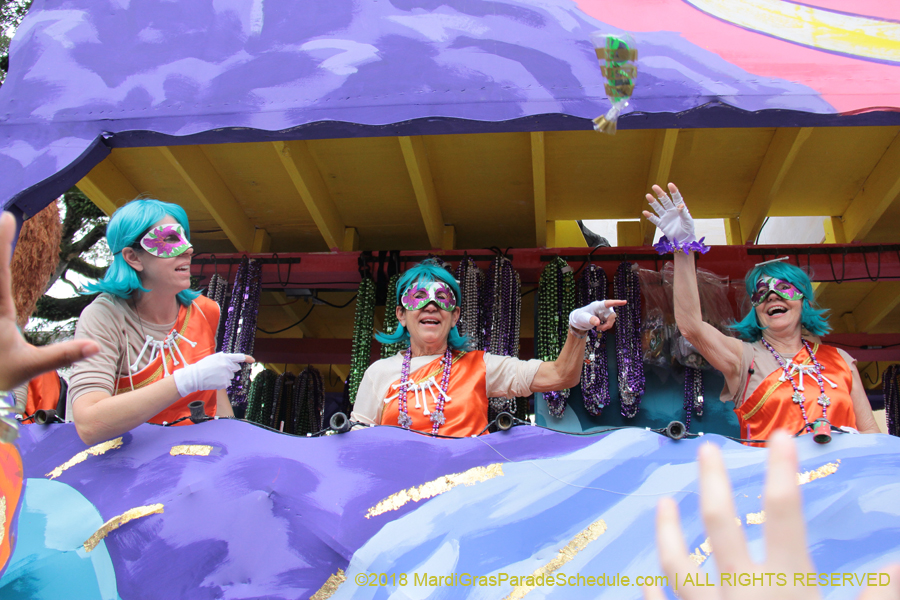 2018-Krewe-of-Iris-00005653