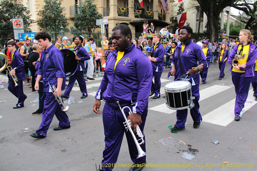 2018-Krewe-of-Iris-00005679