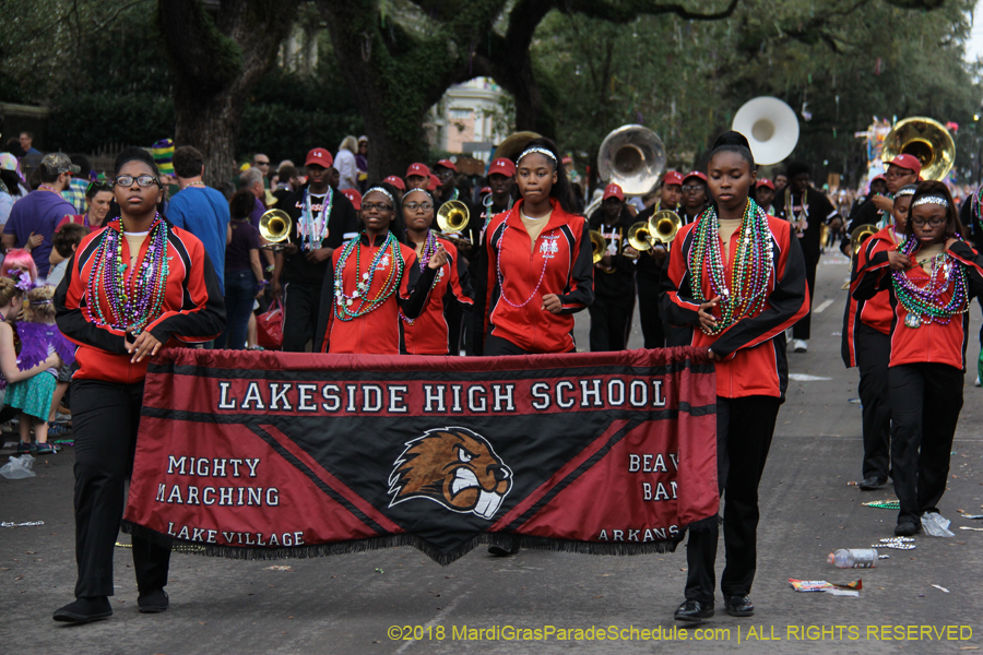 2018-Krewe-of-Iris-00005688