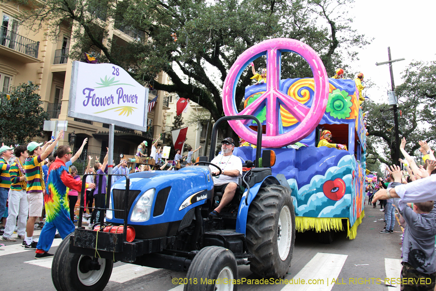 2018-Krewe-of-Iris-00005702