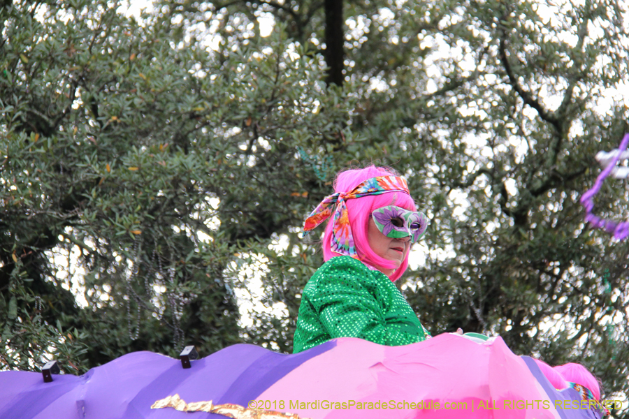 2018-Krewe-of-Iris-00005714