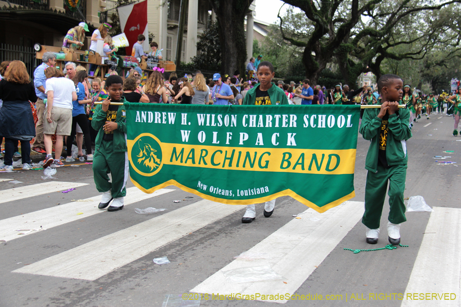 2018-Krewe-of-Iris-00005718