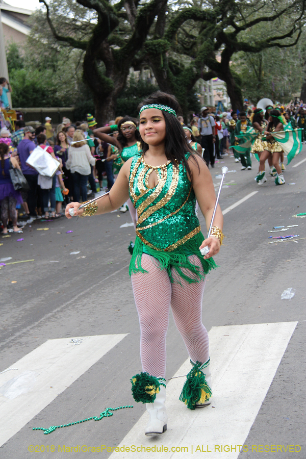 2018-Krewe-of-Iris-00005719