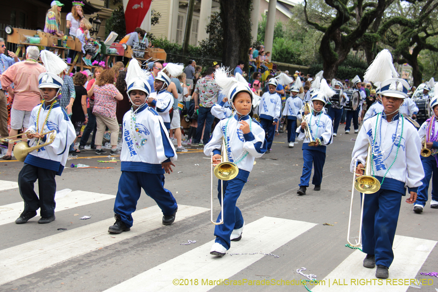 2018-Krewe-of-Iris-00005756