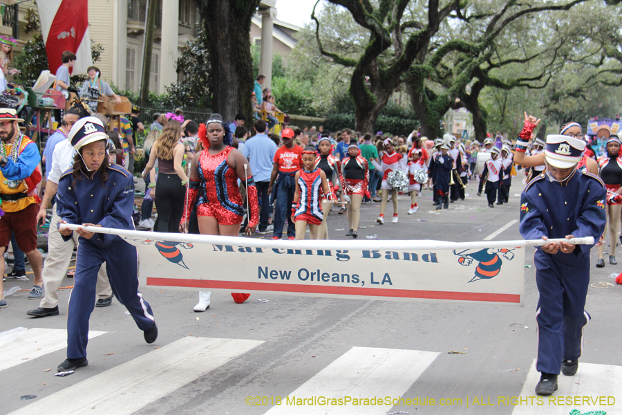 2018-Krewe-of-Iris-00005762