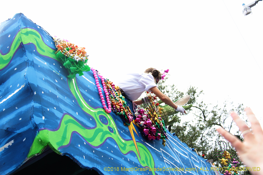 2018-Krewe-of-Iris-00005778