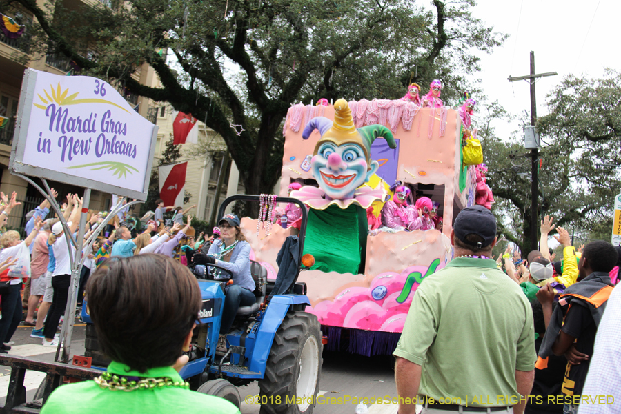 2018-Krewe-of-Iris-00005788