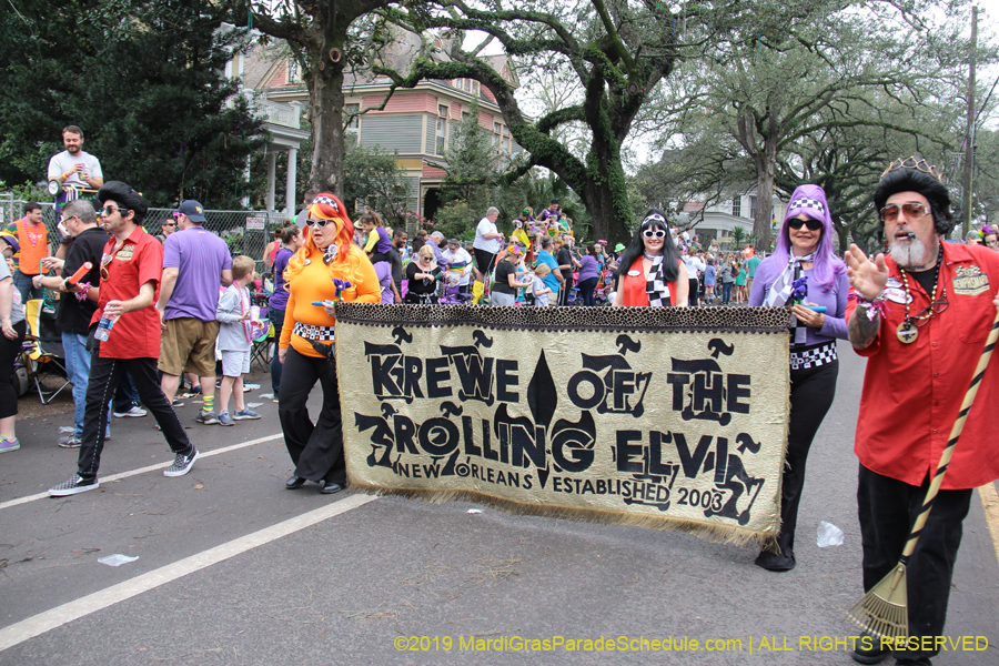 Krewe-of-Iris-2019-006238