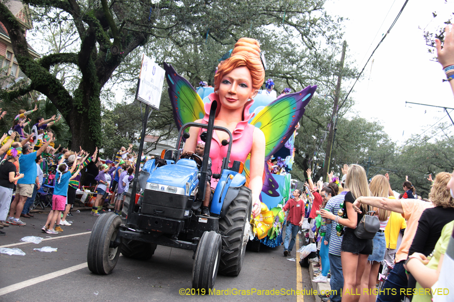 Krewe-of-Iris-2019-006248