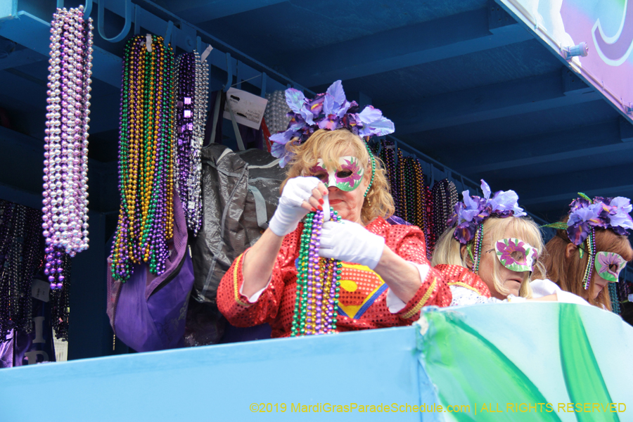 Krewe-of-Iris-2019-006249