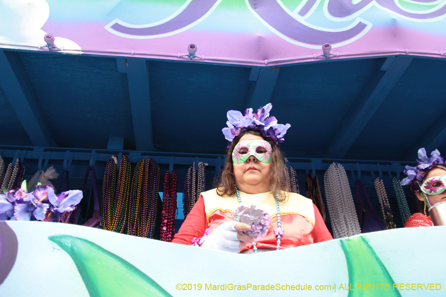 Krewe-of-Iris-2019-006250