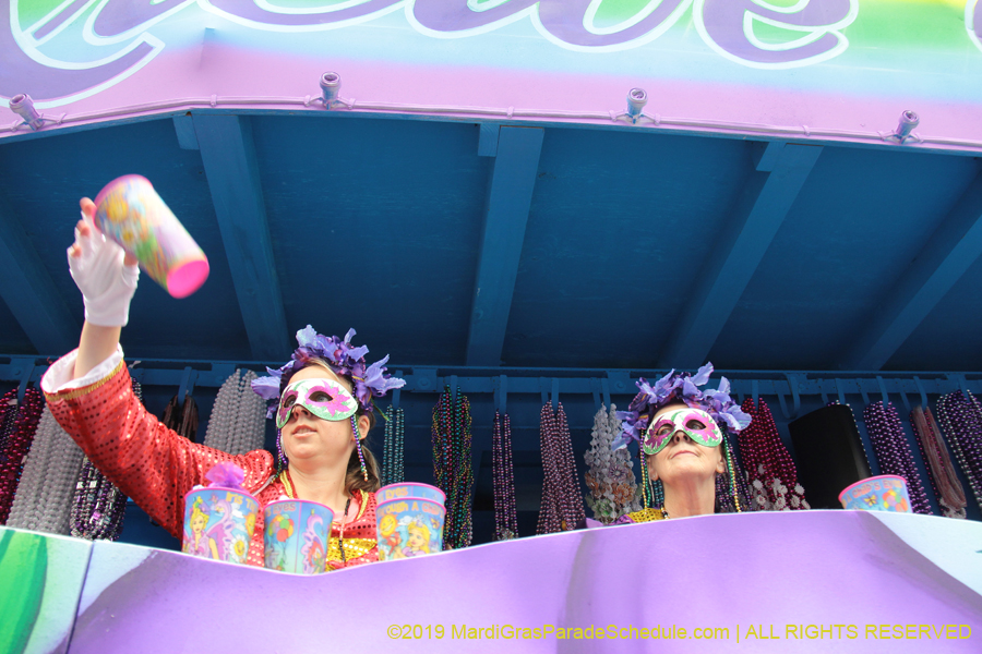 Krewe-of-Iris-2019-006251