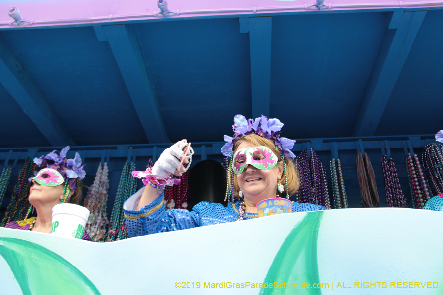 Krewe-of-Iris-2019-006252