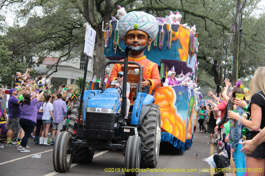 Krewe-of-Iris-2019-006262