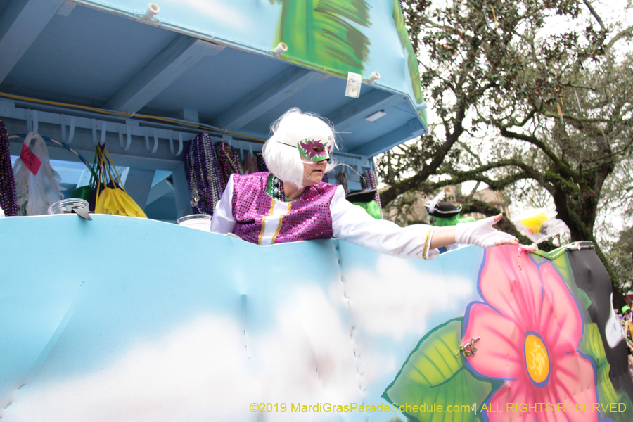 Krewe-of-Iris-2019-006275