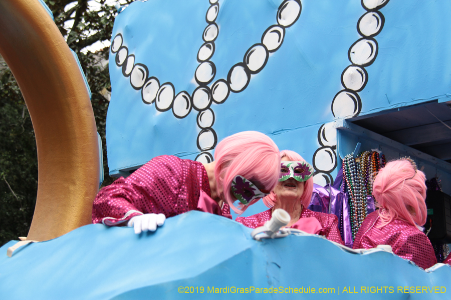 Krewe-of-Iris-2019-006288