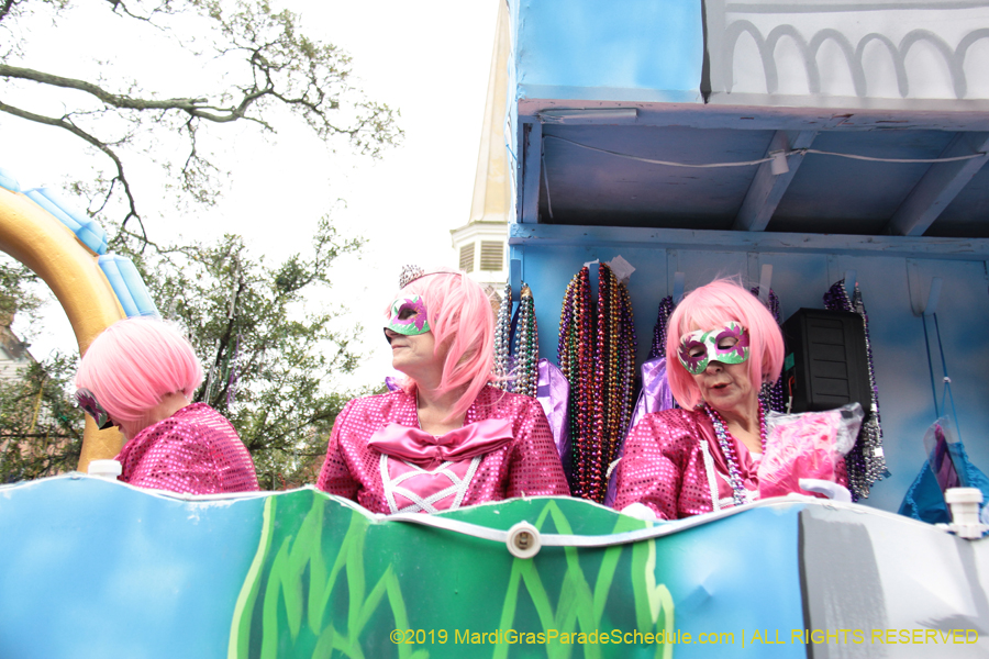 Krewe-of-Iris-2019-006289