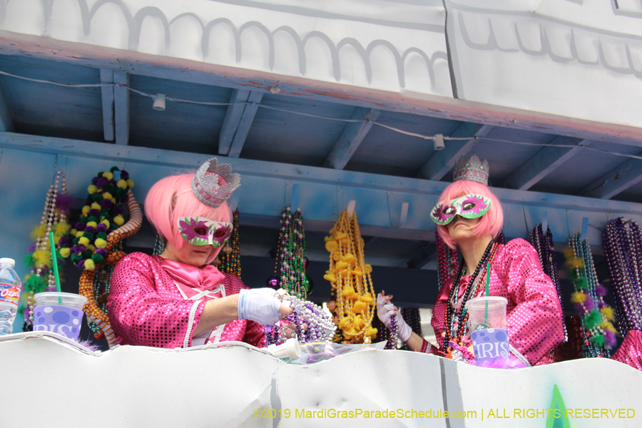 Krewe-of-Iris-2019-006290