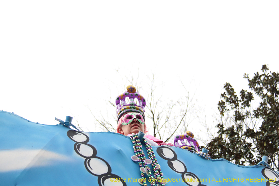 Krewe-of-Iris-2019-006292