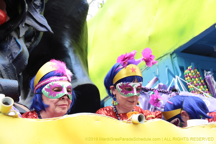 Krewe-of-Iris-2019-006326