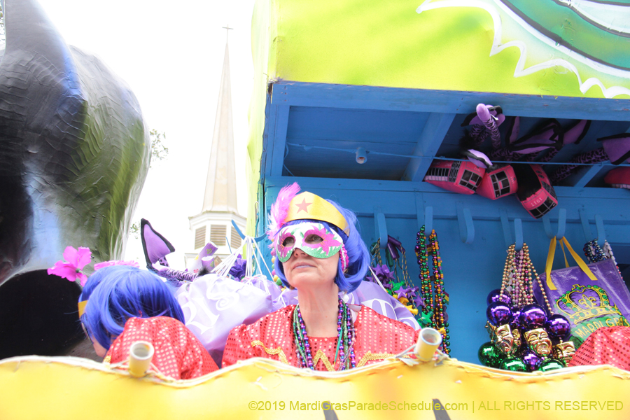 Krewe-of-Iris-2019-006327