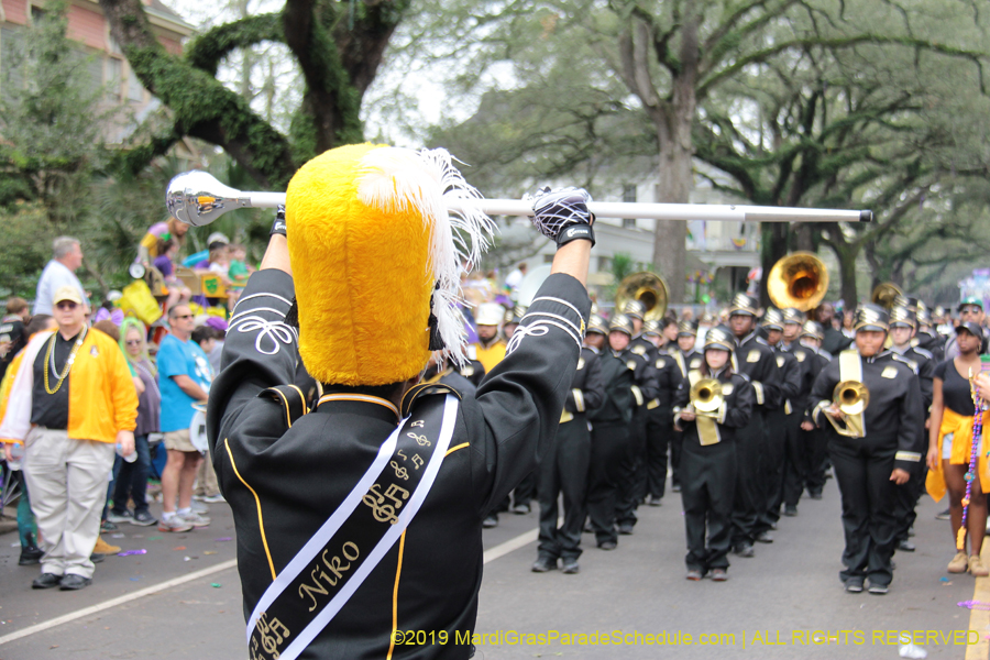 Krewe-of-Iris-2019-006333