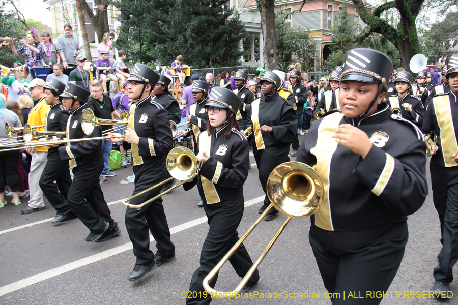 Krewe-of-Iris-2019-006334