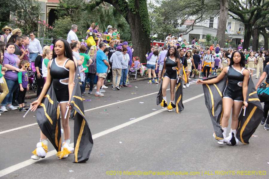 Krewe-of-Iris-2019-006335