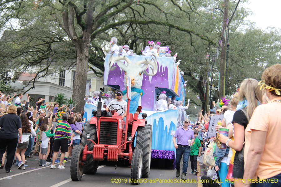 Krewe-of-Iris-2019-006337