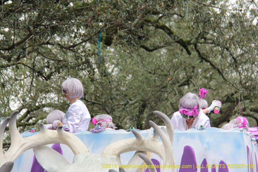 Krewe-of-Iris-2019-006338