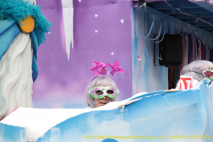 Krewe-of-Iris-2019-006339