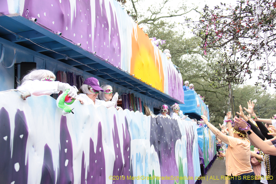 Krewe-of-Iris-2019-006340