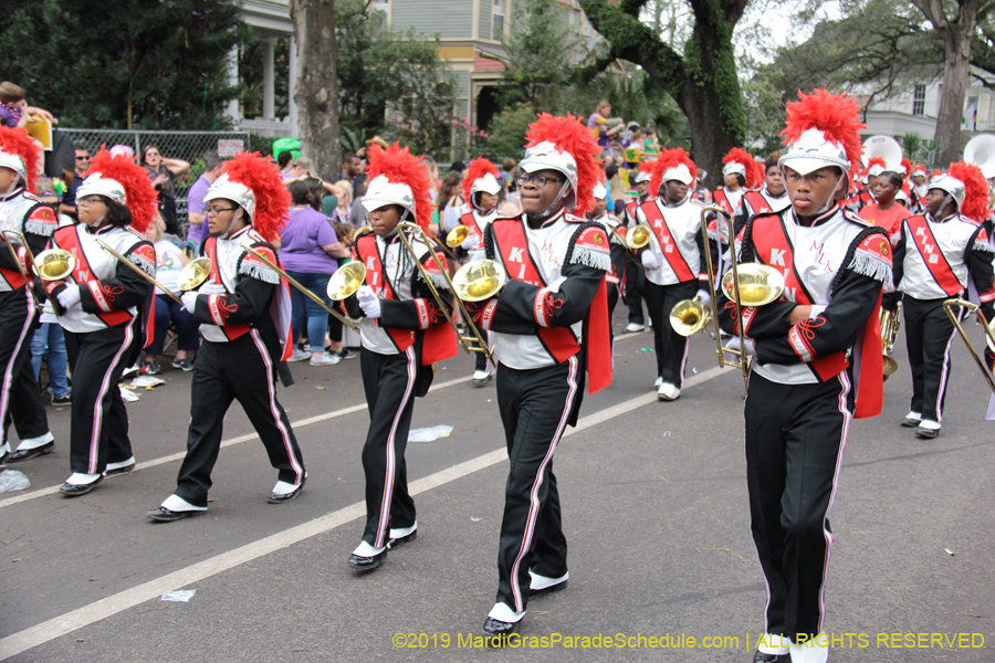 Krewe-of-Iris-2019-006351