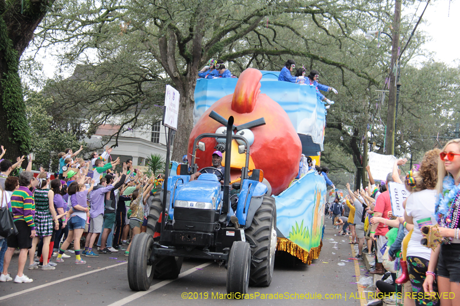 Krewe-of-Iris-2019-006355