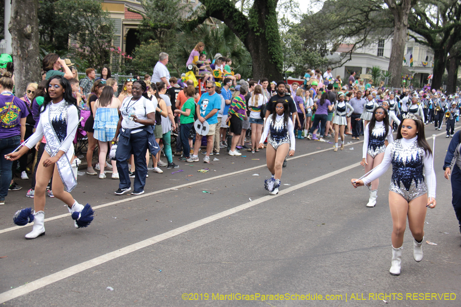 Krewe-of-Iris-2019-006371