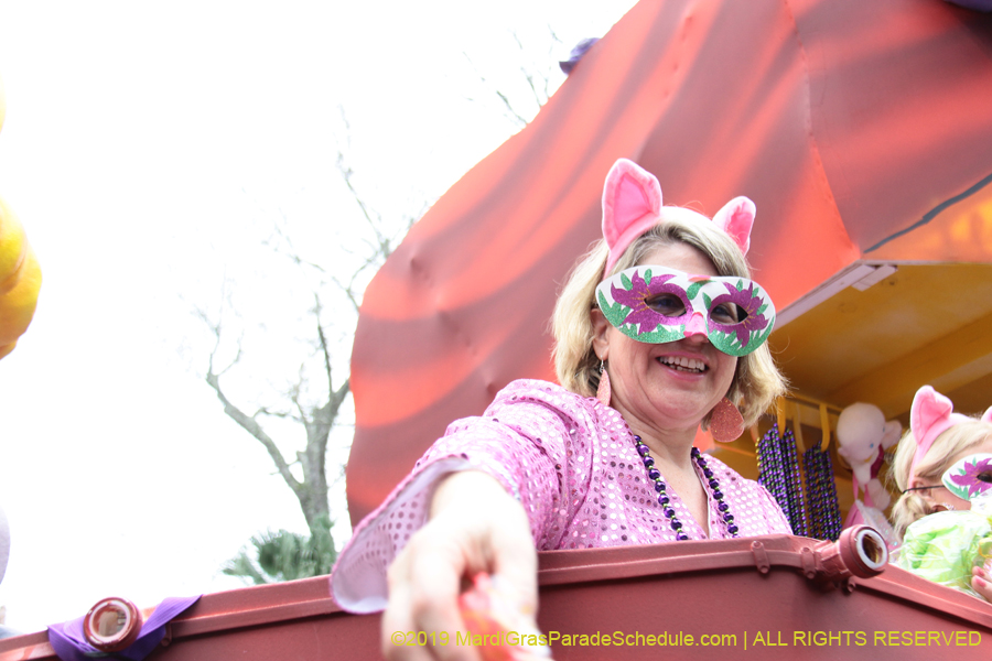 Krewe-of-Iris-2019-006381